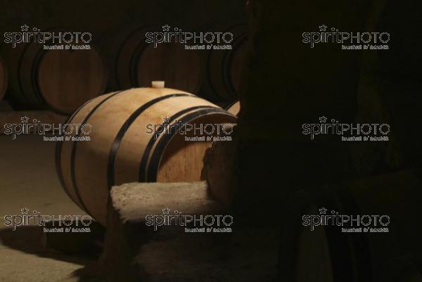 Cave  vin souterraine (JBN_03685.jpg)