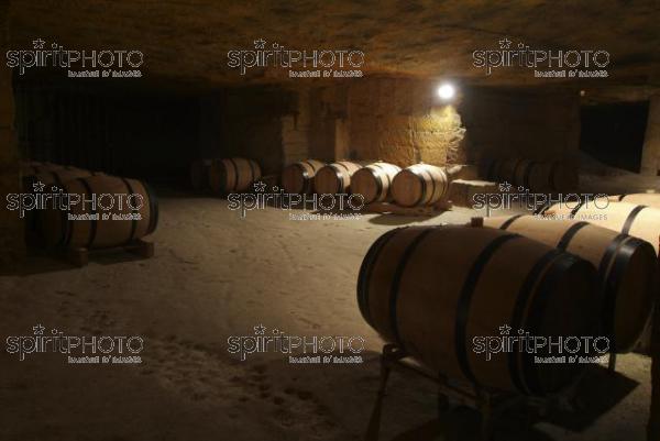 Cave  vin souterraine (JBN_03686.jpg)