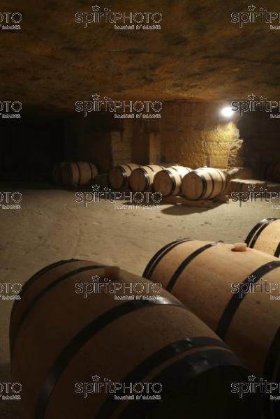 Cave  vin souterraine (JBN_03687.jpg)