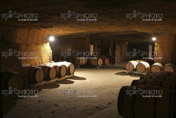 Cave  vin souterraine (JBN_03688.jpg)