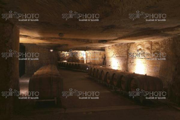 Cave  vin souterraine (JBN_03690.jpg)