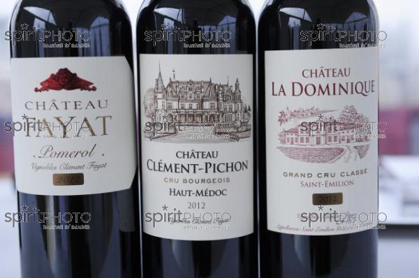 Château La Doninique - Vignoble Fayat (JBN_03914.jpg)