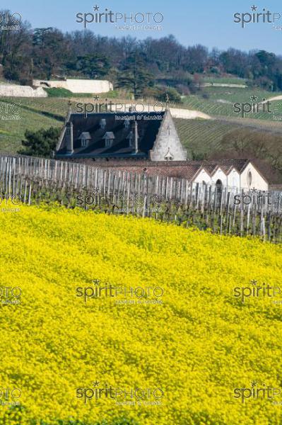 GIRONDE (33), SAINT-EMILION, TOIT DU CHATEAU LA GAFFELIERE AU PRINTEMPS, PAYSAGE VITICOLE, VIGNOBLE DU BORDELAIS // FRANCE, GIRONDE (33), SAINT-EMILION, ROOF OF CHATEAU LA GAFFELIERE IN SPRING, WINE LANDSCAPE, BORDEAUX VINEYARD (JBN_0970.jpg)