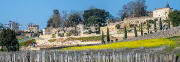 GIRONDE (33), SAINT-EMILION, CHANTIER DE TERRASSEMENT ET DE PREPARATION DE SOL AVANT LA PLANTATION DE LA VIGNE, NEGOCE BORDELAIS JEAN-PIERRE MOUEIX, CLOS LA MADELEINE, CRU CLASSE DE SAINT-EMILION, VIGNOBLE DU BORDELAIS // FRANCE, GIRONDE (33), SAINT-EMILION, EARTHWORKING AND SOIL PREPARATION SITE BEFORE VINE PLANTING, NEGOCE BORDELAIS JEAN-PIERRE MOUEIX, CLOS LA MADELEINE, CRU CLASSE DE SAINT-EMILION,, BORDEAUX VINEYARD (JBN_0977-Panorama.jpg)