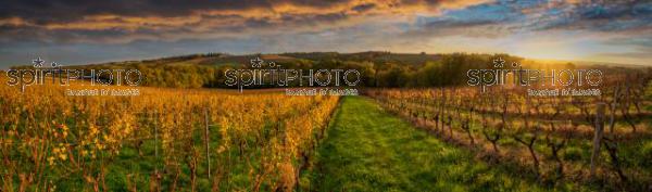 FRANCE, GIRONDE, PAYSAGE VITICOLE EN AUTOMNE, AOC CADILLAC (JBN_1821-Panorama-Modifier.jpg)