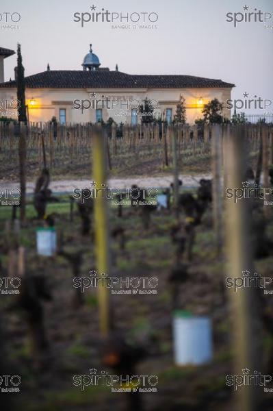 GIRONDE, POMEROL, CHATEAU PETRUS, OIL BURNING SMUDGE POTS IN VINEYARD DURING SUB-ZERO TEMPERATURES OF MARS 2021, BORDEAUX VINEYARD (JBN_2086.jpg)