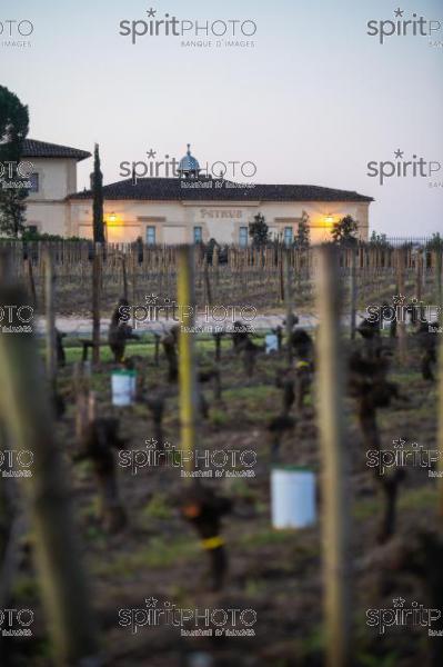 GIRONDE, POMEROL, CHATEAU PETRUS, OIL BURNING SMUDGE POTS IN VINEYARD DURING SUB-ZERO TEMPERATURES OF MARS 2021, BORDEAUX VINEYARD (JBN_2088.jpg)