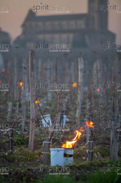 GIRONDE, POMEROL, OIL BURNING SMUDGE POTS IN VINEYARD DURING SUB-ZERO TEMPERATURES OF MARS 2021, BORDEAUX VINEYARD (JBN_2108.jpg)