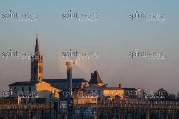 GIRONDE, POMEROL, WIND TURBINES ARE USED AS AIR STIRRERS IN VINEYARD DURING SUB-ZERO TEMPERATURES OF MARS 2021, BORDEAUX VINEYARD (JBN_2296.jpg)