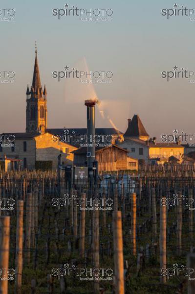 GIRONDE, POMEROL, WIND TURBINES ARE USED AS AIR STIRRERS IN VINEYARD DURING SUB-ZERO TEMPERATURES OF MARS 2021, BORDEAUX VINEYARD (JBN_2299.jpg)