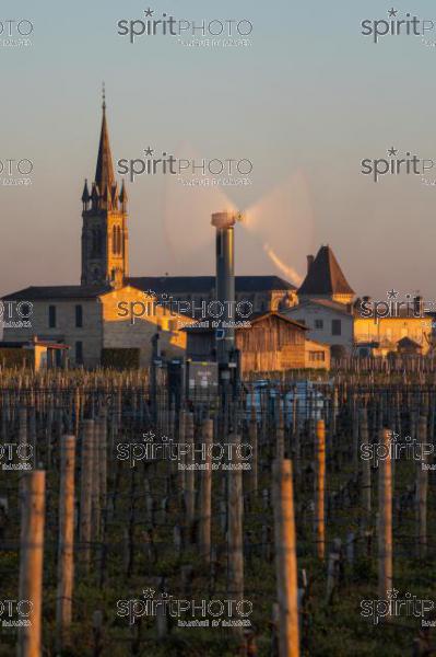 GIRONDE, POMEROL, WIND TURBINES ARE USED AS AIR STIRRERS IN VINEYARD DURING SUB-ZERO TEMPERATURES OF MARS 2021, BORDEAUX VINEYARD (JBN_2303.jpg)