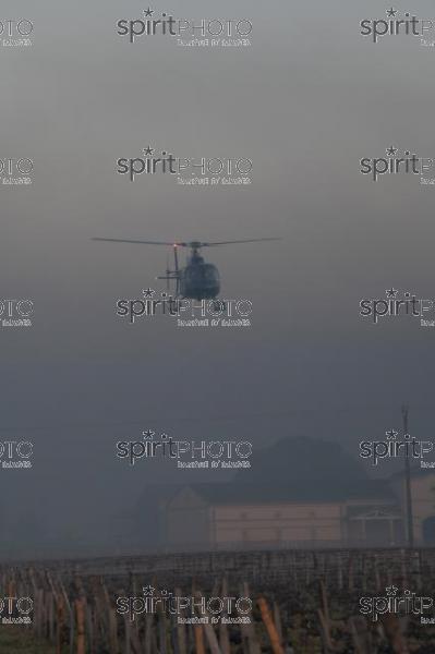 Helicopter being used to circulate warmer air and prevent frost damage to vineyard in sub-zero spring temperatures of 7 April 2021. Château Laroze, St-Émilion, Gironde, France. [Saint-Émilion / Bordeaux] (JBN_3559.jpg)