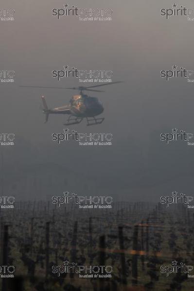 Helicopter being used to circulate warmer air and prevent frost damage to vineyard in sub-zero spring temperatures of 7 April 2021. Château Laroze, St-Émilion, Gironde, France. [Saint-Émilion / Bordeaux] (JBN_3640.jpg)