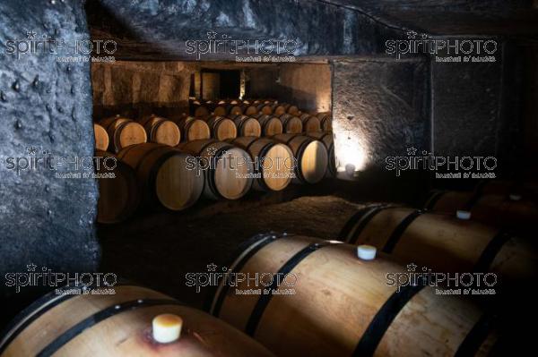 GIRONDE (33), SAINT-EMILION, PORTRAIT DE MATHIEU CUVELIER, CHATEAU CLOS FOURTET, AOC SAINT-ÉMILION GRAND CRU, CLASSÉ PREMIER GRAND CRU CLASSÉ B, VIGNOBLE BORDELAIS // FRANCE, GIRONDE (33), SAINT-EMILION, PORTRAIT OF MATHIEU CUVELIER, CHATEAU CLOS FOURTET, AOC SAINT-EMILION GRAND CRU, CLASS PREMIER GRAND CRU CLASS B, BORDEAUX VINEYARD (JBN_4447.jpg)