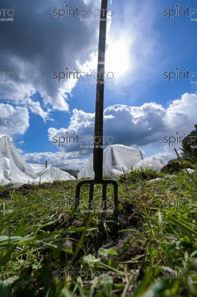 FRANCE, GIRONDE, LANDIRAS, PREPARATION DU VIGNOBLE AVANT LA PERIODE DE GEL DE DEBUT AVRIL 2022 SUR LE DOMAINE VITICOLE DU CELEBRE VIN LIBER PATER AVEC LA POSE D'UN GEOTEXTILE PAR DES EQUIPES D'OUVRIERS VITICOLES LE 1ER AVRIL 2022. (JBN_9897.jpg)