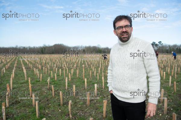 GIRONDE (33), LANDIRAS, VIGNOBLE LIBER PATER, LOIC PASQUET, VIGNOBLE BORDELAIS, LE VIN LE PLUS CHER AU MONDE CREE A PARTIR DE VIGNES PREPHYLLOXERIQUES, AOC GRAVES., ASSEMBLAGE 100% FRANC-DE-PIED (JBN_9968.jpg)