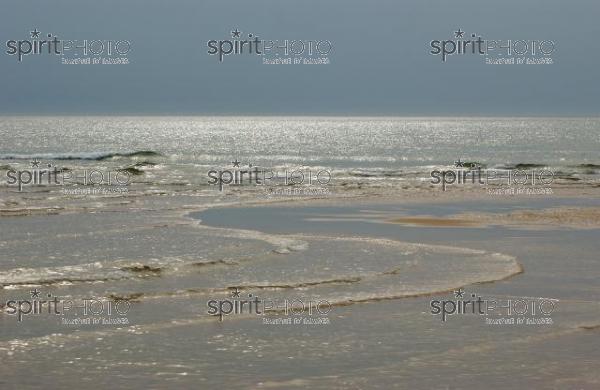 Bassin d'Arcachon - Dune du Pyla (LW_00019.jpg)