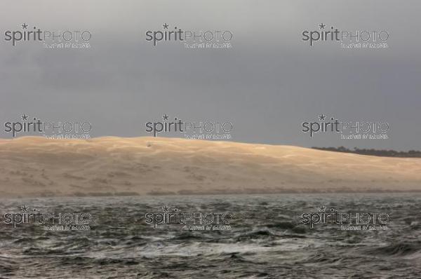 Bassin d'Arcachon - Dune du Pyla (LW_00031.jpg)