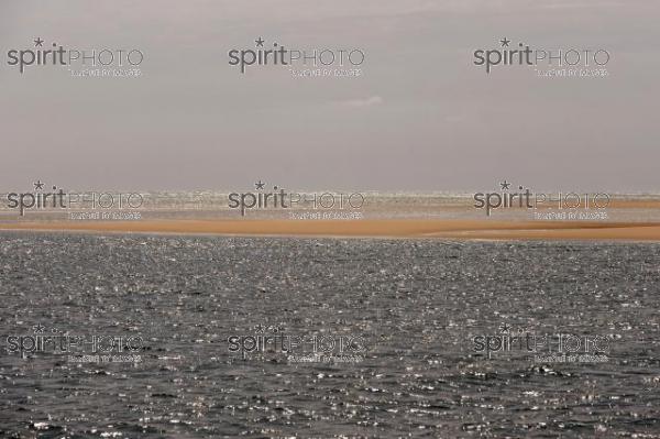 Bassin d'Arcachon - Dune du Pyla (LW_00037.jpg)