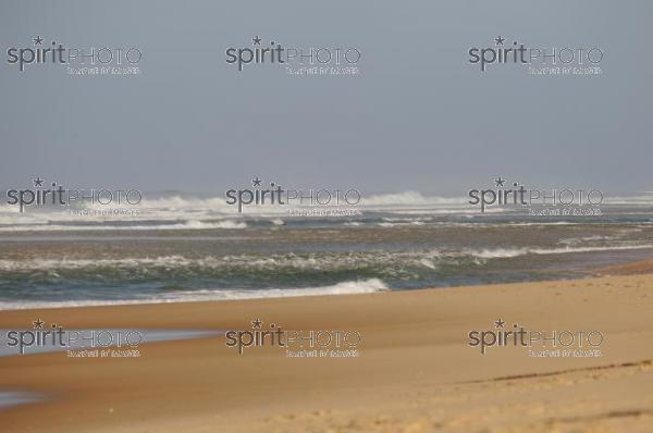 Bassin d'Arcachon - Dune du Pyla (LW_00043.jpg)