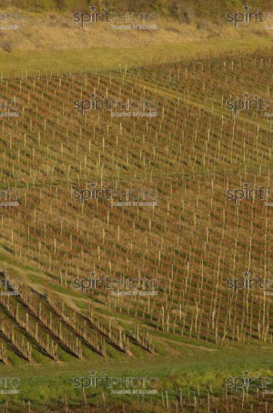 Vins et Vignobles (PHL_00012.jpg)