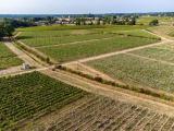 DJI_0307-HDR.jpg